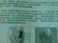 弹吉他时如何定拍子速度_吉他怎么掌握拍子