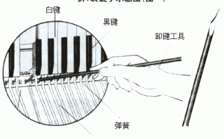 手风琴盖如何拆开