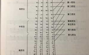  大提琴如何选琴「大提琴如何选琴弦」