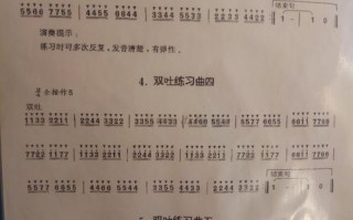 如何吹好笛子双吐_吹笛子双吐音怎么吹