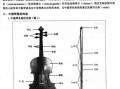 中提琴新手入门指法-中提琴如何拉