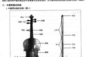 中提琴新手入门指法-中提琴如何拉