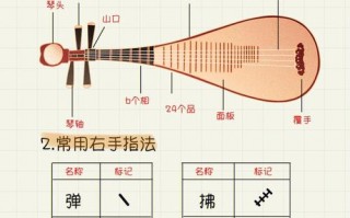  如何保养琵琶「琵琶的保养湿度环境」