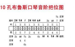 新手如何自学吹口琴