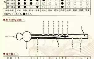 葫芦丝如何运气（初学葫芦丝怎样练好气息）