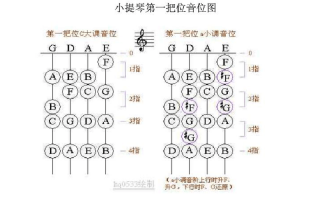 小提琴如何找准音-小提琴如何找音位