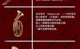 中音号教程 中音号里有水如何放