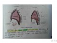 如何用横膈膜控制气息 横隔膜如何控制气息