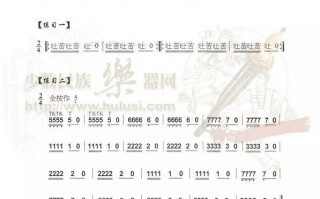 胡芦丝如何吹奏双吐（葫芦丝双吐怎么练快节奏的示范）