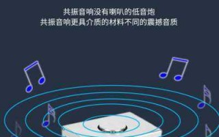 什么歌试音响共振怎么解决（共振音响放什么歌曲）