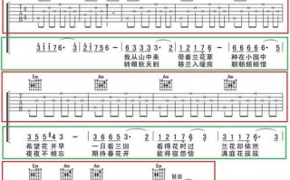 吉他弹唱如何能记住吉他谱（怎样记吉他谱）