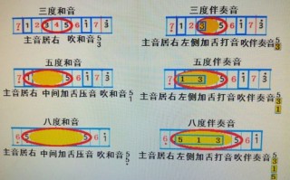 如何调教口琴音阶_口琴怎样改变音调和响度