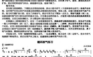 葫芦丝初学如何换气（葫芦丝怎样换气时不会有杂音）