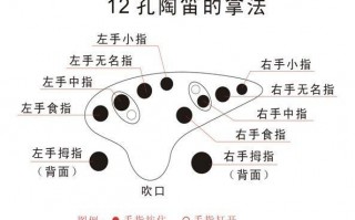 12孔陶笛如何提高,12孔陶笛如何提高音色 