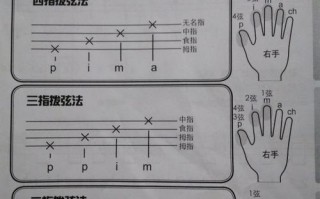 尤克里里如何拨弦（尤克里里怎么拨弦比较轻巧）