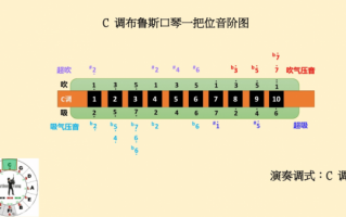 布鲁斯口琴如何调音