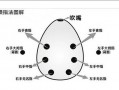 如何自学埙 如何学好埙