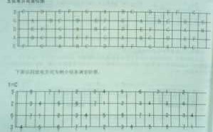  如何练好一个贝斯「零基础学贝斯」