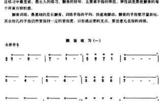  颤音如何记谱「颤音的记法和奏法」