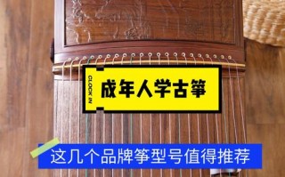 成人自学如何选古筝,成人初学者古筝买什么好 