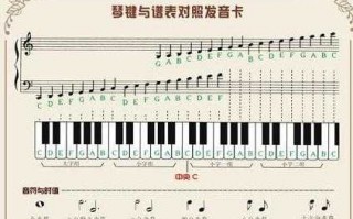 电子琴键如何看高音和低音（电子琴哪个是高音哪个是低音）