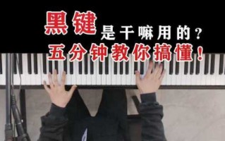 如何弹黑键（用黑键弹奏歌曲正常吗）