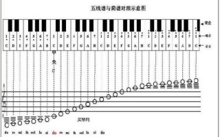 49个琴键怎么分1234567 如何认识全部琴键