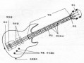 如何分辨贝斯的声音