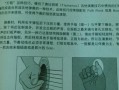 吉他拍弦如何清脆,吉他拍琴弦的弹奏技巧 