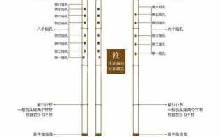 初学者如何选萧