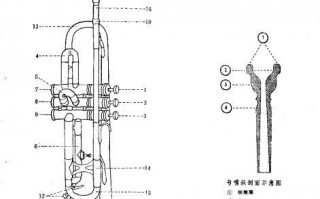 小号的吹奏方法技巧视频 小号如何吹奏