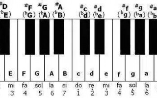 根据音阶判断调名-如何识别音阶的调名
