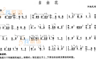  如何唱自由花简谱「自由歌怎么画」