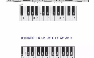 初学钢琴者如何配琴最划算