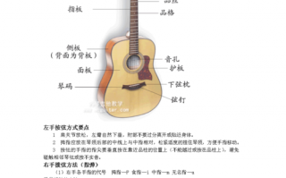 吉他初学者该如何学（吉他初学者该如何学好）