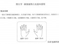 弹电子琴的方法教教我