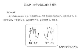 弹电子琴的方法教教我