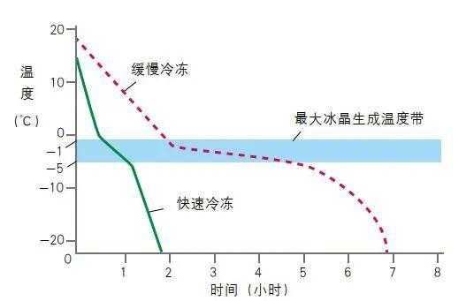 冰箱内壁的冰晶形成原理-第1张图片-乐清光明电器科技有限公司