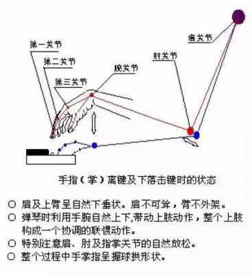 如何教好孩子弹钢琴,如何教好孩子弹钢琴的方法 -第2张图片-乐清光明电器科技有限公司