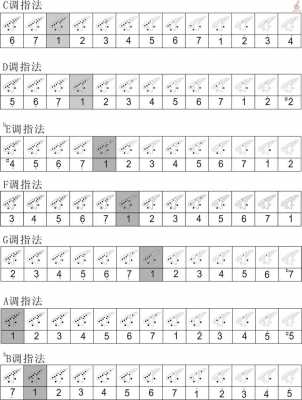 12孔陶笛1234567在哪个音的位置图-十二孔陶笛型号如何标注-第3张图片-乐清光明电器科技有限公司