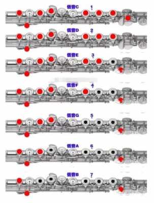  c调长笛笛头音色如何算正常「长笛c调曲子」-第1张图片-乐清光明电器科技有限公司