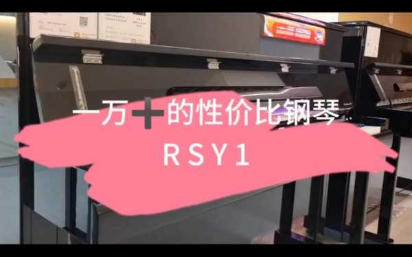  珠江rs如何「珠江rsy1性价比如何」-第1张图片-乐清光明电器科技有限公司