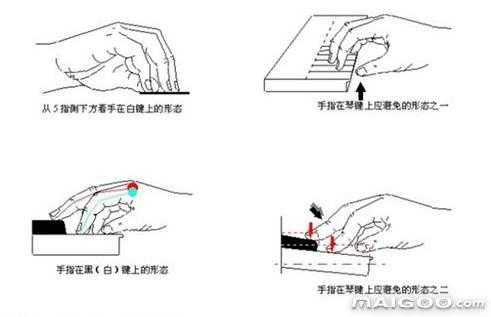 儿童学钢琴如何立手指_弹钢琴手指怎么立-第2张图片-乐清光明电器科技有限公司