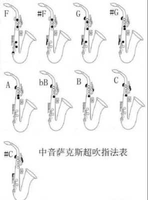 萨克斯嘶吼声怎么练 吼音萨克斯如何吹-第3张图片-乐清光明电器科技有限公司