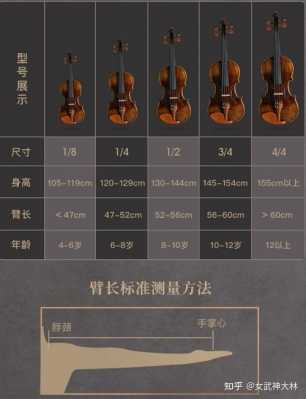 初学者如何选择小提琴-第2张图片-乐清光明电器科技有限公司