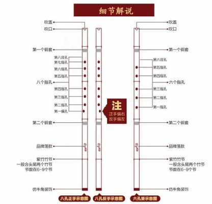 初学者如何选萧-第2张图片-乐清光明电器科技有限公司