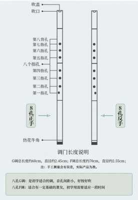 初学者如何选萧-第3张图片-乐清光明电器科技有限公司