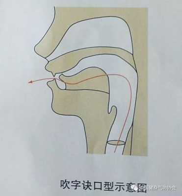  小号吐音前后如何吐的一样「小号吐音方法」-第3张图片-乐清光明电器科技有限公司