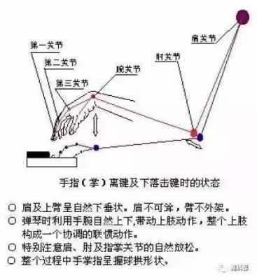 钢琴考试前如何活动手指_钢琴考试手抖怎么办-第1张图片-乐清光明电器科技有限公司