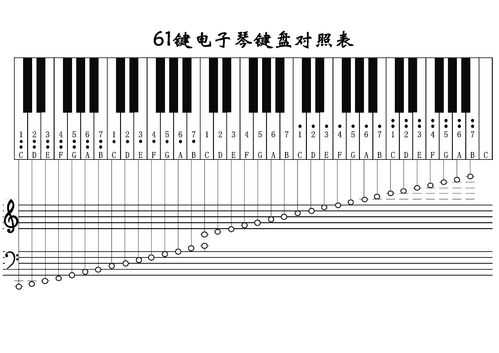 如何认识电子琴上面的键-第3张图片-乐清光明电器科技有限公司